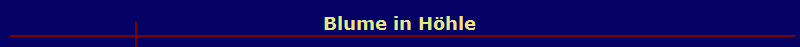 Blume in H�hle